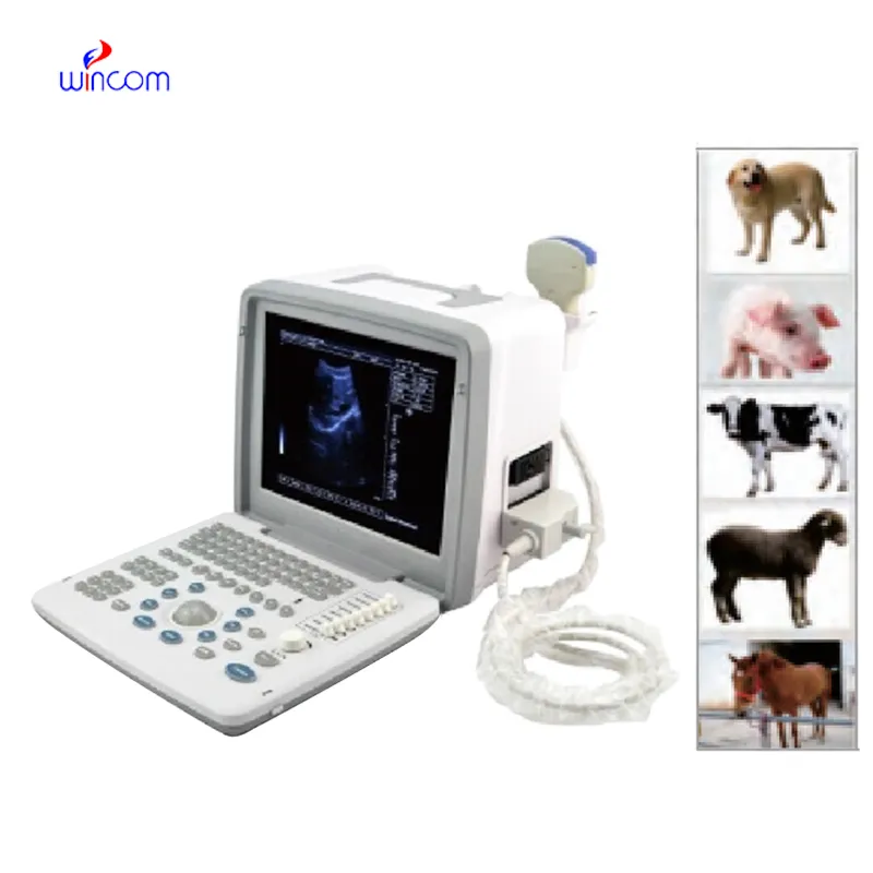 Full Digital Led Ultrasound Scanner USS-300VET