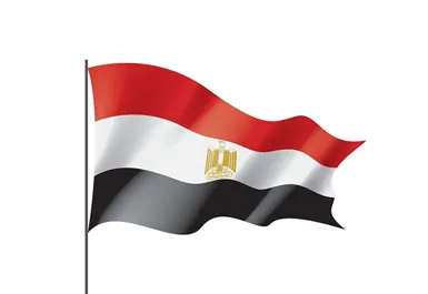 Egypt Medical Experts toWincom