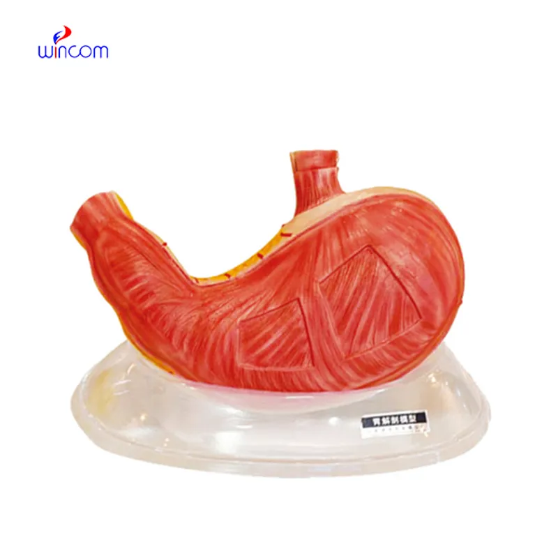 The future of microscope cell