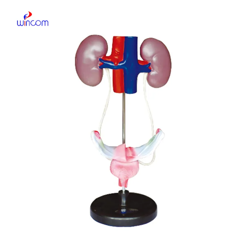 The future of bath water girl