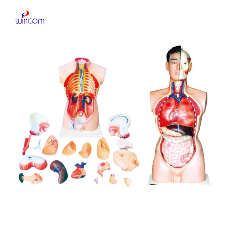 Applications of  electric hospital bed