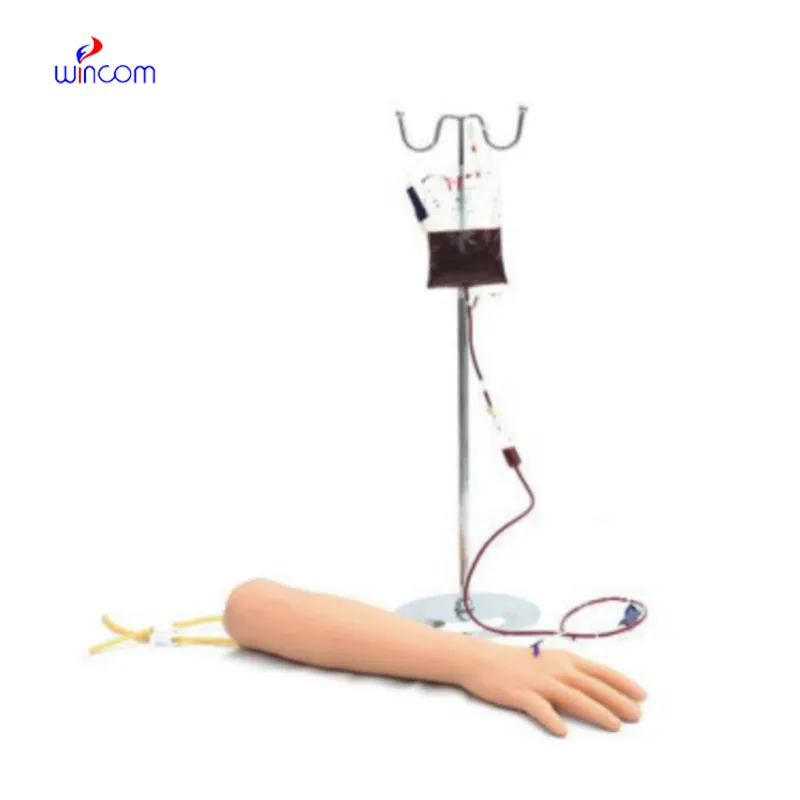 Arm Vein Puncture Training Model WN-M-HS1