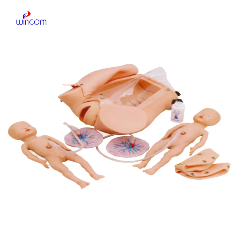 Advanced Delivery Mechanism Teaching Series Model WN-M-52