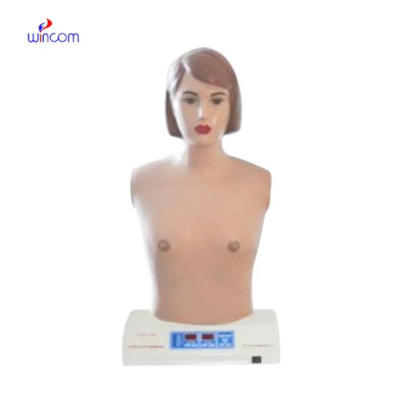 Fully Automatic Cardiopulmonary Palpation and Auscultation Simulator WN-M-10A