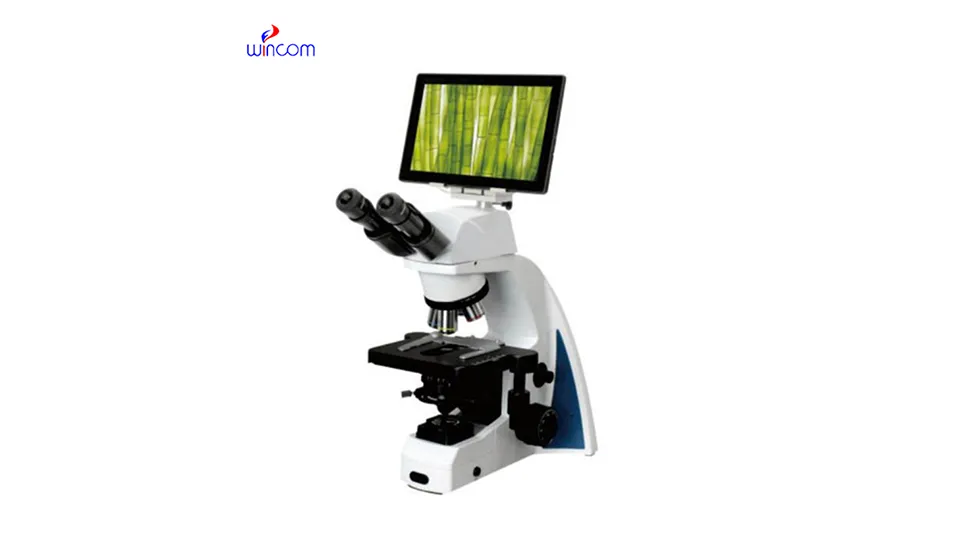 Microscope