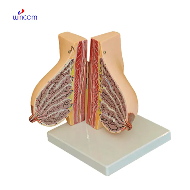 Care & Maintenance of water bath applesauce