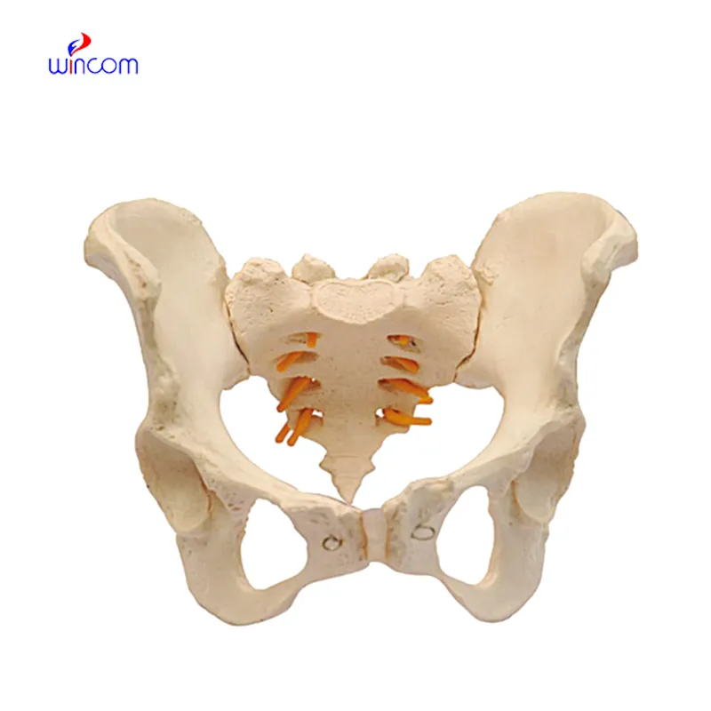 The future of microscope labelled