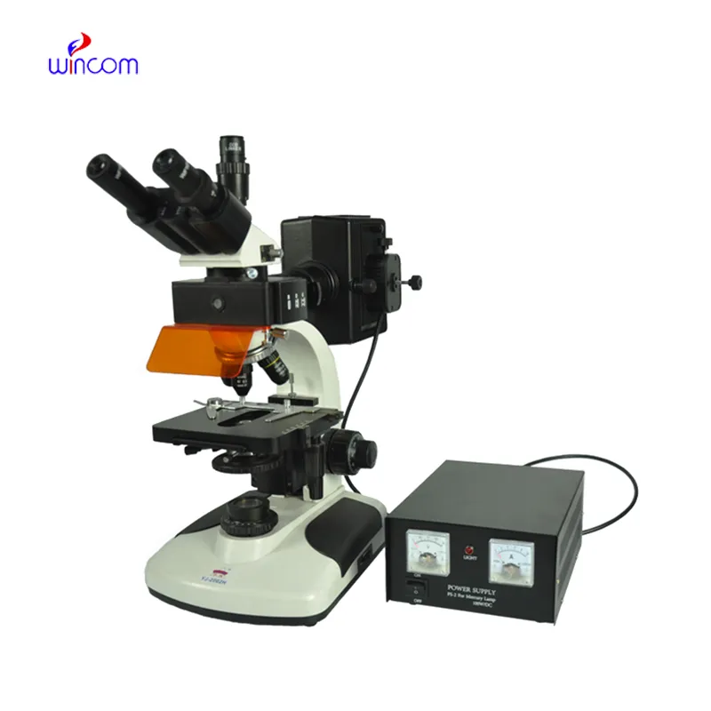 Fluorescent Microscope MCS-FL2002H
