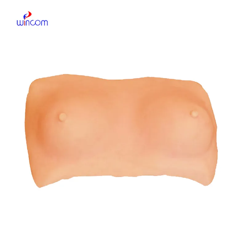 BREAST EXAMINATION MODEL LM4068